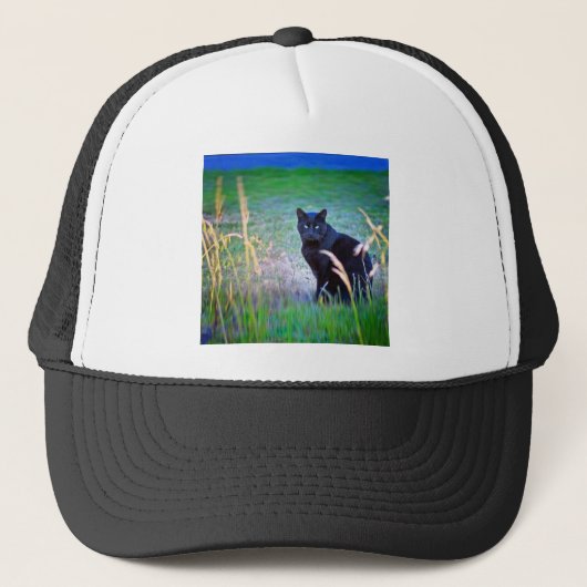 Zwarte kat trucker pet (Voorkant)