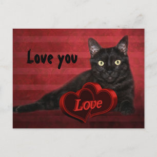 Zwarte kat Valentijn Feestdagenkaart