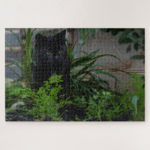 Zwarte kat Verborgen in de Planten, 1014 stuks