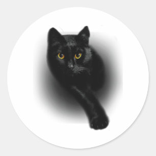 Zwarte Kat Vijlnagels Ronde Sticker