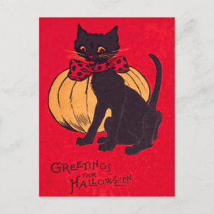 Zwarte Kat Vlinderdas Pompoen Vintage Briefkaart