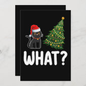 Zwarte kat wat duwen kerstboom grappig kaart (Voorkant / Achterkant)