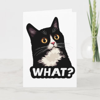 Zwarte Kat Wat? Kaart