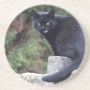 Zwarte kat zandsteen onderzetter