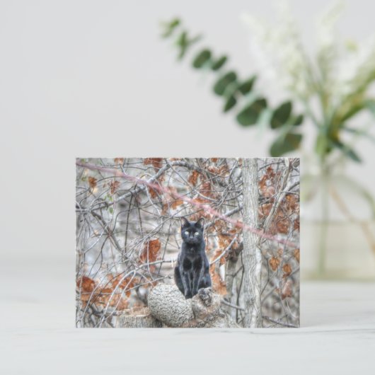 Zwarte kat zit buiten briefkaart (Staand voorkant)