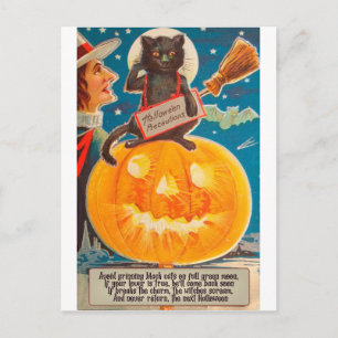 Zwarte kat zit op grote heldere pompoen, grappig briefkaart
