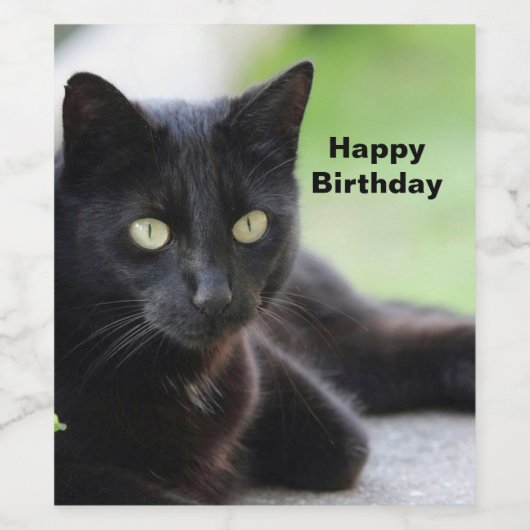 zwarte katfoto Birthday Wijn Etiket (Enkel label)