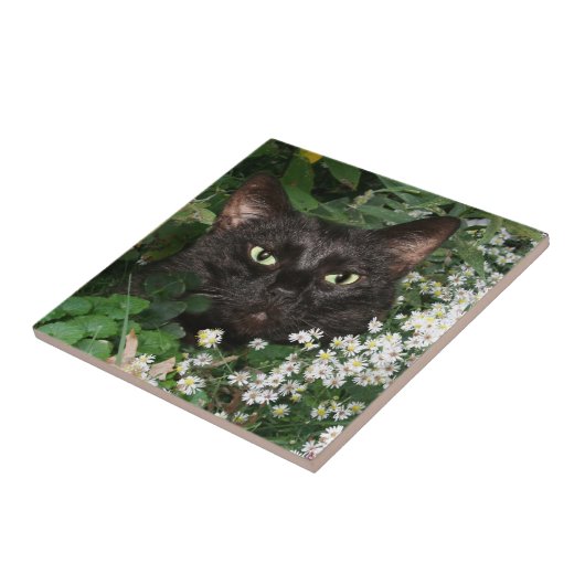 Zwarte kattegel tegeltje (Zijkant)