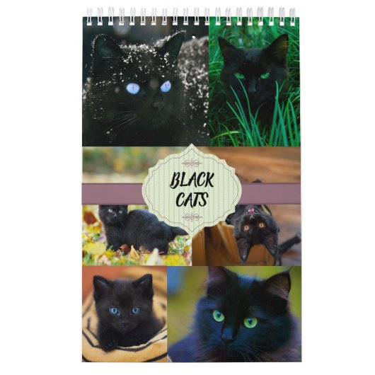 Zwarte katten één pagina kalender (Hoes)