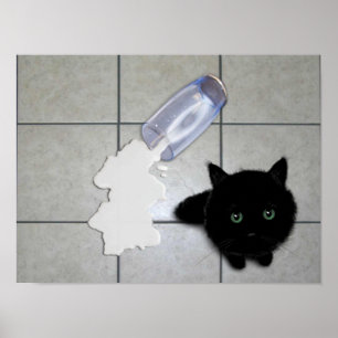 Zwarte katten- en gelekte melk poster