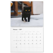 Zwarte katten kalender (Feb 2027)