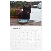 Zwarte katten & Kittens Cute Kitty Cat 2021 Kalender (Feb 2027)