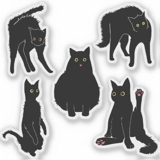 Zwarte katten  sticker (Voorkant)
