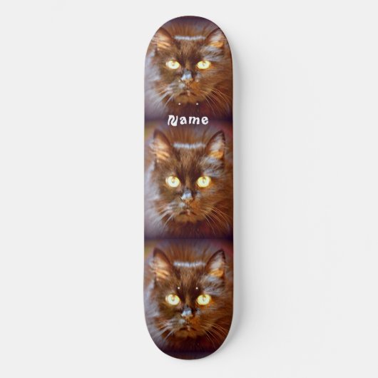 Zwarte katten Thunder_Cove Skateboard (Voorkant)