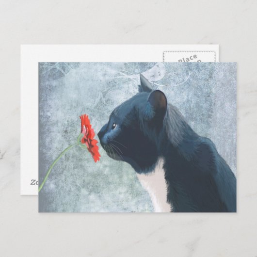Zwarte kattenknipventilator briefkaart (Voorkant / Achterkant)