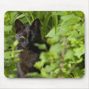 Zwarte kattenmousepad muismat