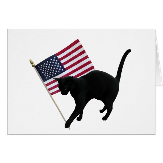 Zwarte kattenvlag (Voorkant Horizontaal)