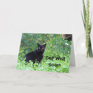 Zwarte kattenwensen worden snel beter Kaart