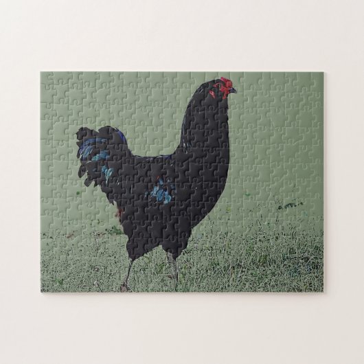 Zwarte kip in de Grass Art Puzzel (Horizontaal)