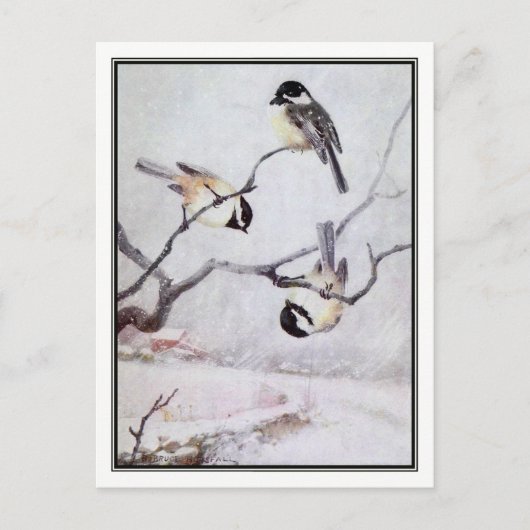  zwarte kippen - R. Bruce Horsfall Briefkaart (Voorkant)