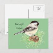 Zwarte kippen - Vogel - Natuur Briefkaart (Voorkant / Achterkant)