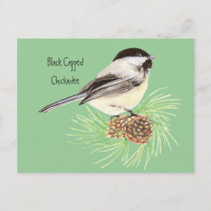 Zwarte kippen - Vogel - Natuur Briefkaart