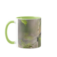 Zwarte Kipper op een filiaal