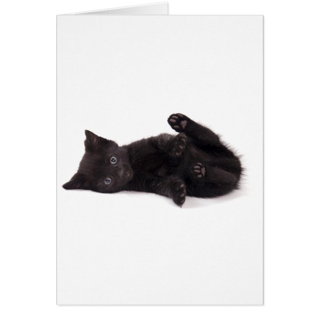 zwarte kitten (Voorkant)
