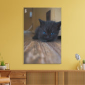 Zwarte Kitten Canvas Afdruk (Insitu (Woonkamer))