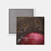 ZWARTE KITTEN CATS - VAKANTIEMONNETJE MAGNEET (Voorkant / Achterkant)