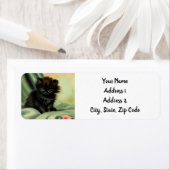  zwarte Kitten-illustratie Etiket (Insitu)