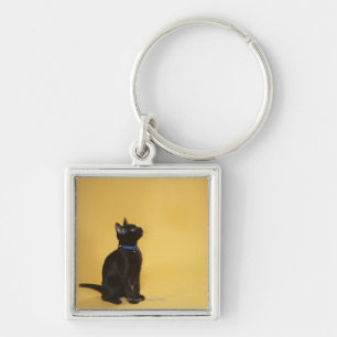 Zwarte kitten in kraag sleutelhanger