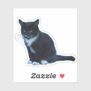 Zwarte kitten Tuxedo zittende moeders Sticker