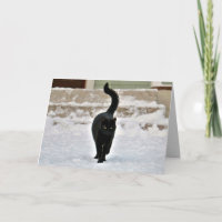 Zwarte Kitty Kat Kattige Aanpasbare Kaart