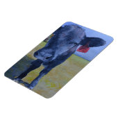 Zwarte Koe Flex Magnet Magneet (Linkerzijde)
