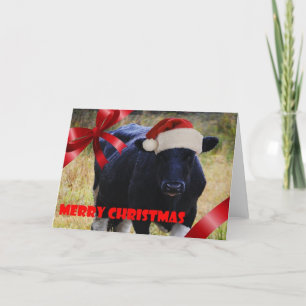 Zwarte Koe Kerst Kaart