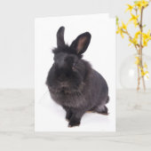 zwarte konijn kaart (Gele Bloem)