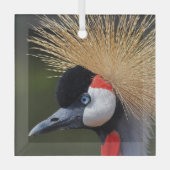 Zwarte kraan glas ornament (Voorkant)