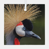 Zwarte kraan glas ornament (Achterkant)