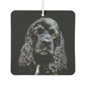 Zwarte kransspaangezicht luchtverfrisser (Voorkant)