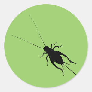 Zwarte Krekel Ronde Sticker