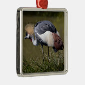 Zwarte Kroonkraan Metalen Ornament (Rechts)