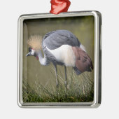 Zwarte Kroonkraan Metalen Ornament (Links)