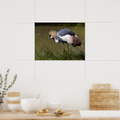 Zwarte Kroonkraan Poster (Keuken)