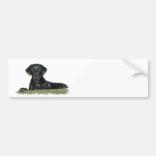 Zwarte Lab Bumpersticker (Voorkant)