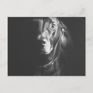 Zwarte Lab Dog Waterverf van Paul Jackson Briefkaart