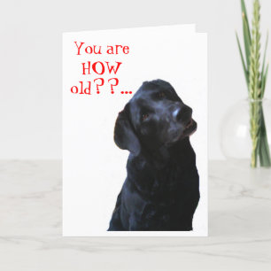 Zwarte Lab Hond Tipping Head Wishing Happy Birthda Kaart