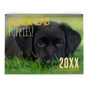 Zwarte Lab Puppy Kalendar Puppy Hond Labrador Kalender