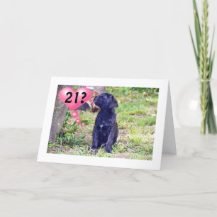 ZWARTE LAB PUPPY ZEGT: "21E BIRTHDAY!" KAART