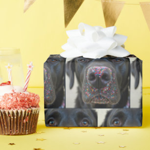 Zwarte laboratoriumhond met strooien op zijn neus cadeaupapier